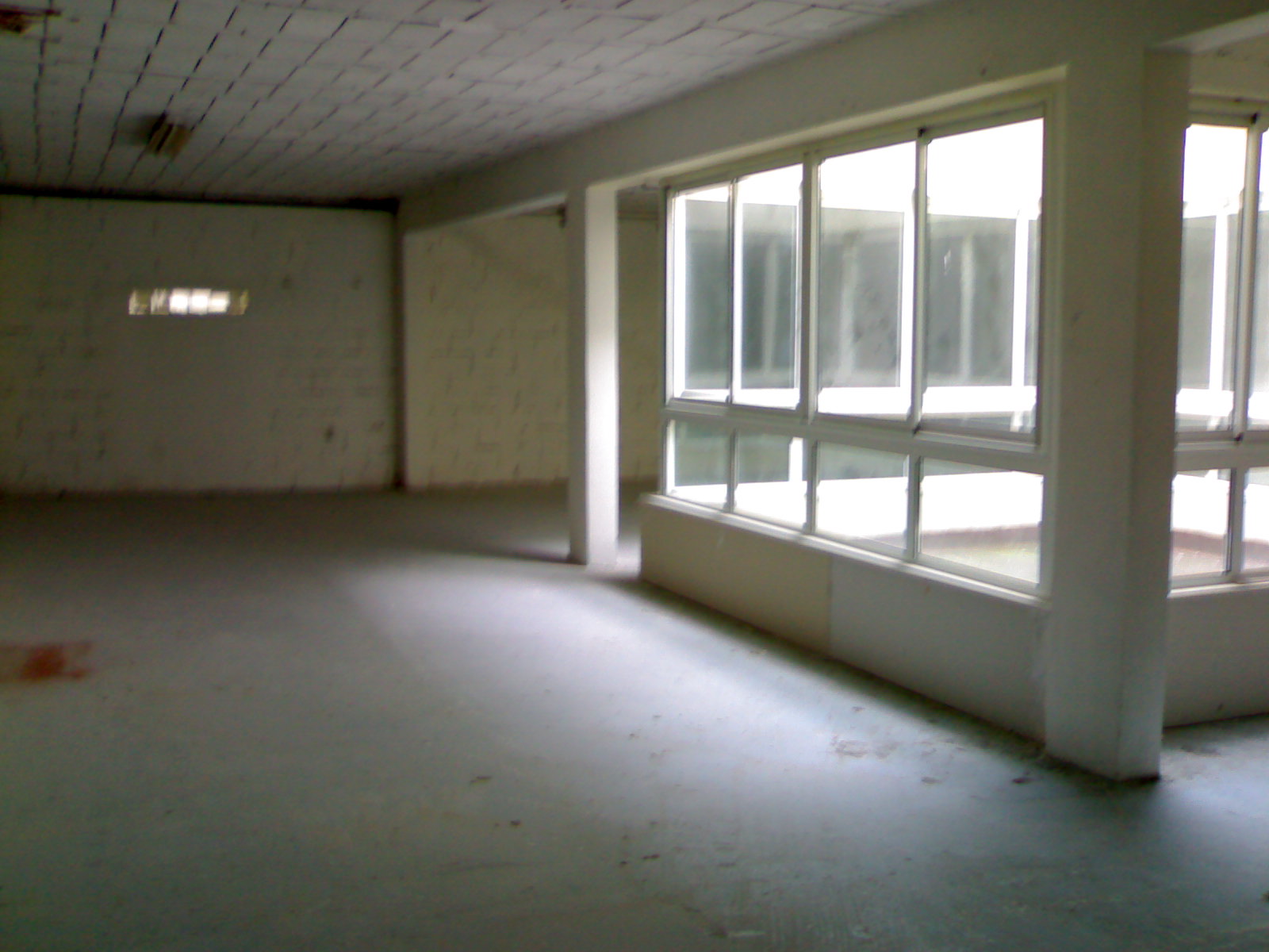 Photo3
